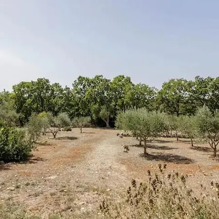 Manu Ostuni